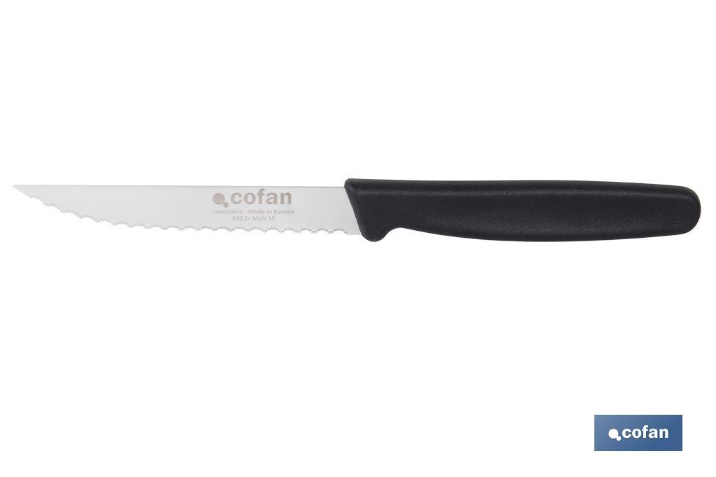 Pack de 25 cuchillos de cocina microdentados | Mango ergonómico | Hoja inoxidable de 10,5 cm - Cofan