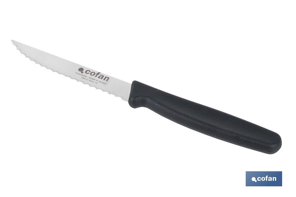 Pack de 25 cuchillos de cocina microdentados | Mango ergonómico | Hoja inoxidable de 10,5 cm - Cofan