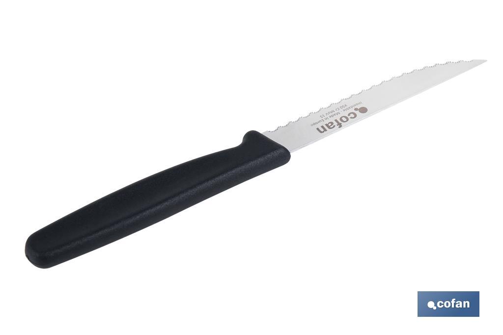 Pack de 25 cuchillos de cocina microdentados | Mango ergonómico | Hoja inoxidable de 10,5 cm - Cofan
