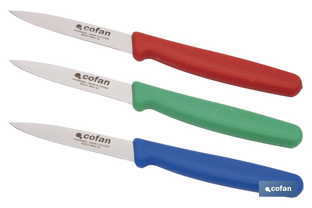 Pack de 3 cuchillos puntilla de acero inoxidable | Mango antideslizante | Apto para lavavajillas - Cofan