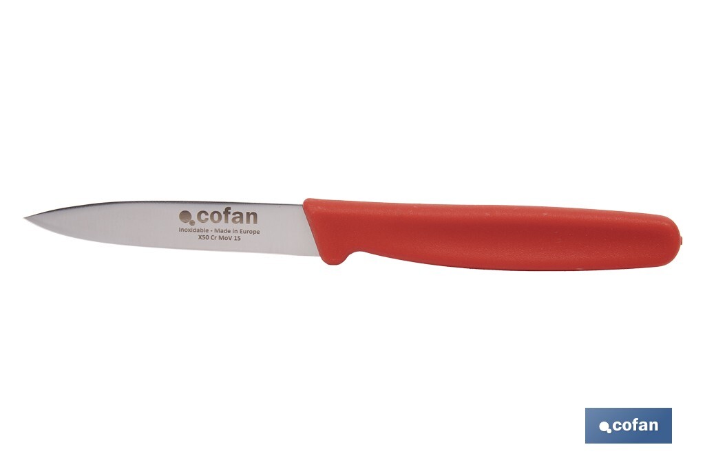 Pack de 3 cuchillos puntilla de acero inoxidable | Mango antideslizante | Apto para lavavajillas - Cofan