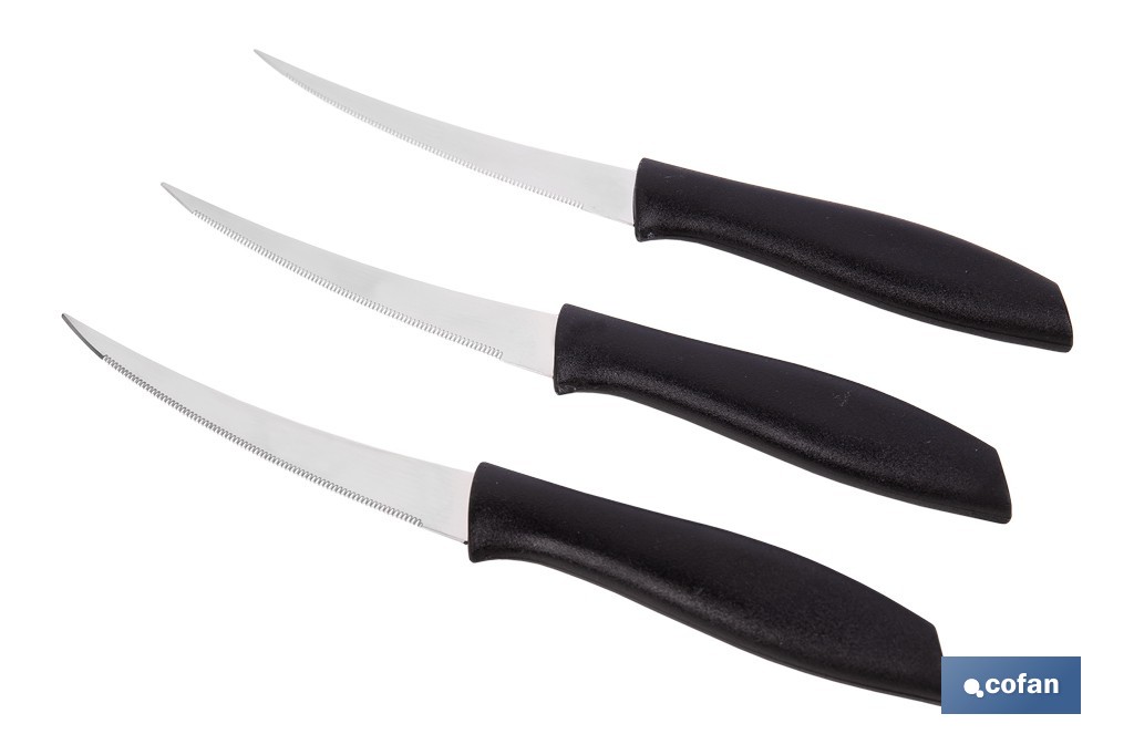 Pack de 3 cuchillos para fruta y verdura con mango ergonómico | Hoja de acero inoxidable | Longitud de la hoja: 10 cm - Cofan