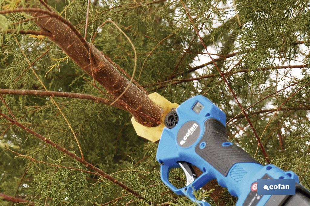 Electric pruning shears | Li-Ion battery-powered 25V 2Ah - Cofan