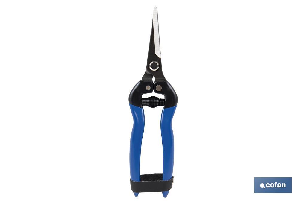 Harvest shears with straight tip and total length of 185mm | Special for gardening works - Cofan