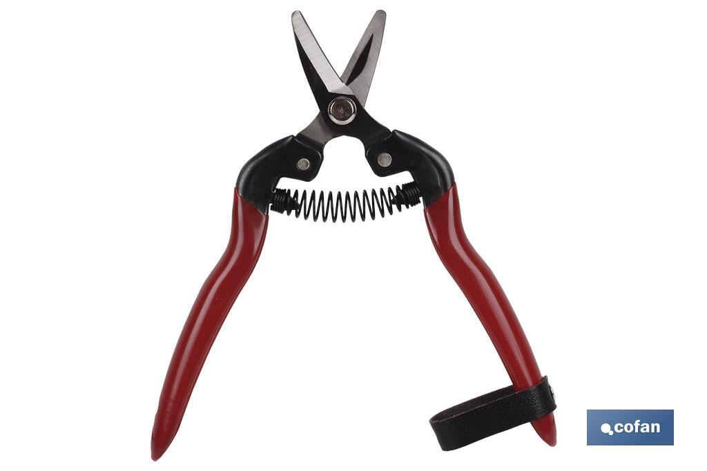 Pruning shears | High quality | Length: 165mm | Curved tip - Cofan