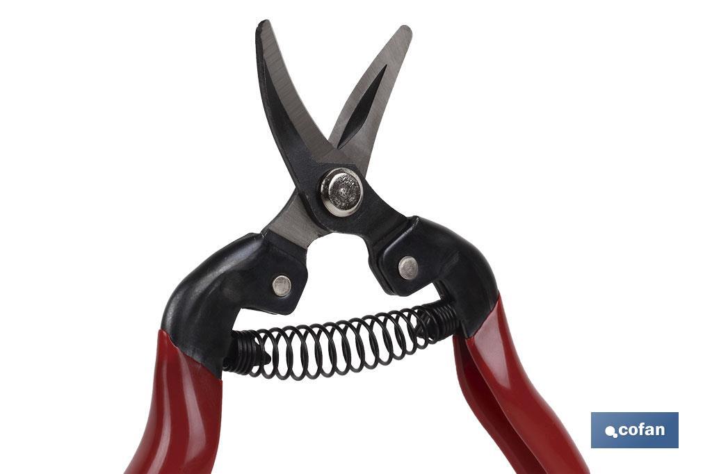 Pruning shears | High quality | Length: 165mm | Curved tip - Cofan