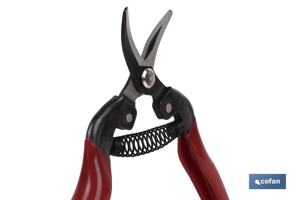 Pruning shears | High quality | Length: 165mm | Curved tip - Cofan