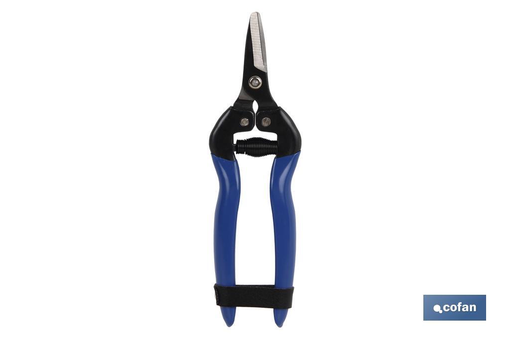 Harvest shears with short blade, straight tip and total length of 165mm | Special for gardening works - Cofan