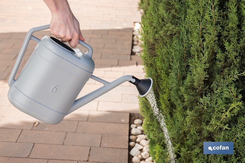 Regadera gris con cabezal desmontable de HDPE | Resistente, ligera 100 % reciclable con capacidad de 6 litros - Cofan