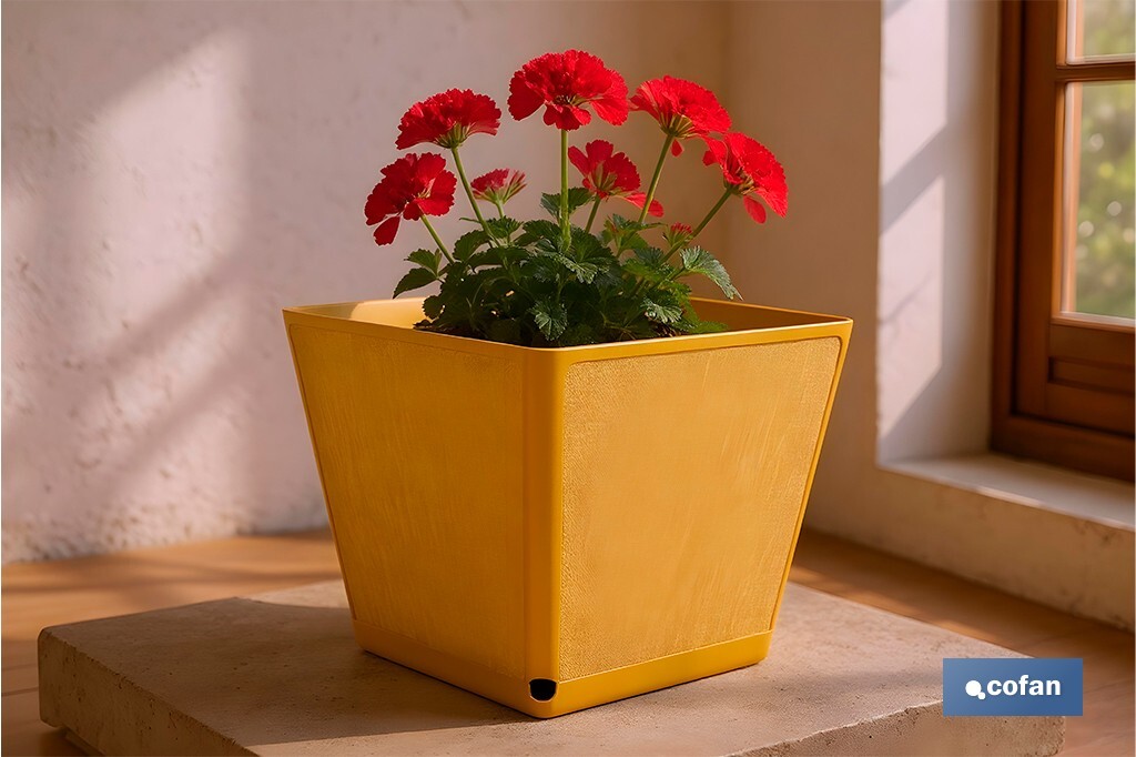 Maceteros decorativos para interior | Macetas cuadradas con plato integrado | Con señalizador de riego | Disponibles en diferentes colores y medidas - Cofan