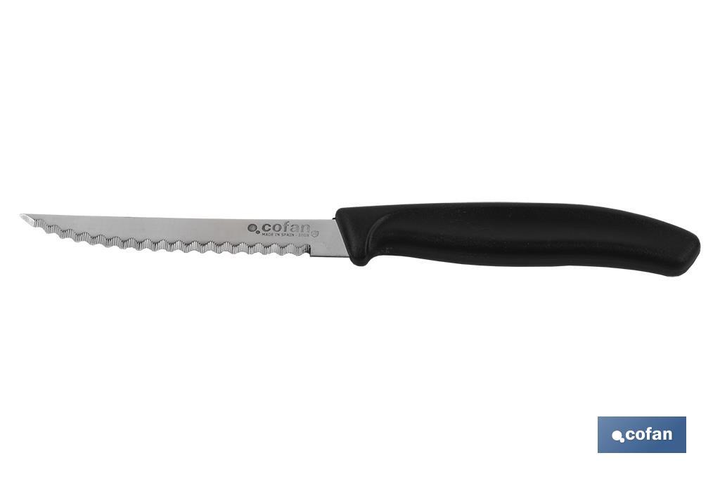 Pack 6 unidades de cuchillos microdentados | Hoja de 10,5 cm | Resistencia y durabilidad - Cofan