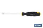 BALL HEAD HEX (ALLEN) SCREWDRIVER | CONFORT PLUS MODEL | AVAILABLE SCREW HEAD FROM H2 TO H10