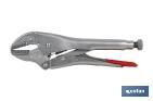 Vice grips with straight jaws | With wire cutter | Length: 10" - Cofan