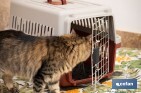 Transportadora para Animais de Estimação Modelo | Medidas: 58 x 37 x 35 cm - Cofan