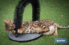 Cat scratcher | Pet care | Arch massager - Cofan