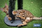 Cat scratcher | Pet care | Arch massager - Cofan