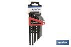 Set of hex keys with ball end | 10 pieces | Size content from 1.5 to 10 - Cofan