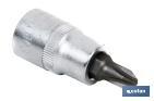 1/4" SCREWDRIVER BIT SOCKET | HIGH-QUALITY CHROME-VANADIUM STEEL | WITH PHILLIPS 3 TIP