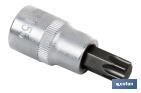 1/4" screwdriver bit socket | High-quality chrome-vanadium steel | With Torx 40 tip - Cofan