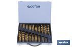 Assorted drill bits case HSS - TIN - Cofan