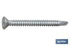 Self-drilling screw, countersunk head, Phillips, zinc plated - Cofan