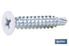 SELF-DRILLING SCREW, EXTRA FLAT HEAD, PHILLIPS, WHITE