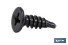 SELF-DRILLING SCREW, EXTRA FLAT HEAD, PHILLIPS, BLACK