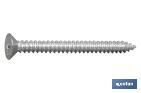 Tornillo Roscachapa Cabeza Avellanada Phillips Zincado - Cofan