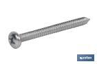 Phillips Cross recessed pan head self tapping screw, zinc plated - Cofan