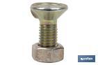 Tornillo de arado DIN 604 | Cuello cuadrado | Tuerca hexagonal DIN 934 incluida | Clase 8.8 | Disponible en diferentes medidas - Cofan