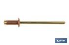 Copper rivets - Bronze - Cofan