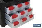 Storage bin organiser with 9 compartments for small tools and parts | Available in two different sizes - Cofan
