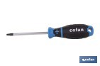 Destornillador Robertson R2 × 100 mm modelo Gripforce | Punta magnética y mango antideslizante - Cofan