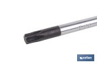 Destornillador Torx de alta precisión modelo Gripforce | Punta magnética y mango antideslizante | Disponible en diferentes tamaños - Cofan