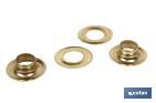 Kit de 12 sets de Ojetes | Diámetros de 10 - 12 mm | Apto para montajes - Cofan