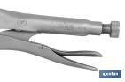 Locking C-clamp pliers | No tilting system | Length: 11" - Cofan