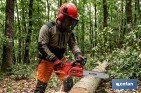 Kit forestal 4 en 1: casco rojo con protección de rostro y oídos. Protección triple certificada. - Cofan