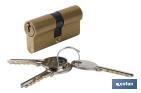 Cylinders, same keys (Brass) - Cofan