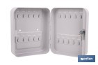 Armario metálico para llaves con cerradura | Incluye 2 llaves y kit de fijación | Disponible para 20, 40, 60 y 80 llaves - Cofan