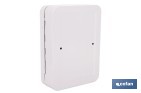 Armario metálico para llaves con cerradura | Incluye 2 llaves y kit de fijación | Disponible para 20, 40, 60 y 80 llaves - Cofan