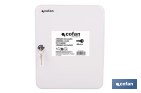Armario metálico para llaves con cerradura | Incluye 2 llaves y kit de fijación | Disponible para 20, 40, 60 y 80 llaves - Cofan