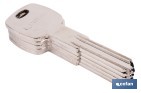 Llave en bruto para cilindros de alta seguridad | Perfil exclusivo Cofan | Copia controlada - Cofan