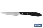 Pack of 3 knives | Micro-serrated blade of 10cm | Available in black - Cofan