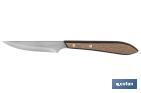 PACK OF 3 STEAK KNIVES | BLADE WITH STRAIGHT EDGE OF 10CM | WALNUT WOOD-EFFECT HANDLE