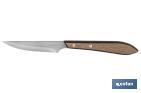 Pack of 3 steak knives | Blade with straight edge of 10cm | Walnut wood-effect handle - Cofan