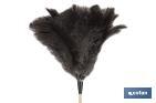 Ostrich Feather Duster & Wooden Handle - Cofan