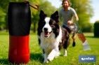 Set of Accessories for dogs | Box with 7 items | Pet accessories for everyday use - Cofan