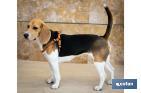 Harnais Réfléchissant pour Chiens | Couleur Orange | Plusieurs Tailles - Cofan