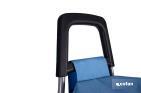 Carro de la compra con 6 ruedas | Diseño plegable | Sube escaleras | Bolsa de 42 litros | Bolsillo para congelados | Disponible en varios colores - Cofan