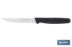 PACK DE 25 CUCHILLOS DE COCINA MICRODENTADOS | MANGO ERGONÓMICO | HOJA INOXIDABLE DE 10,5 CM